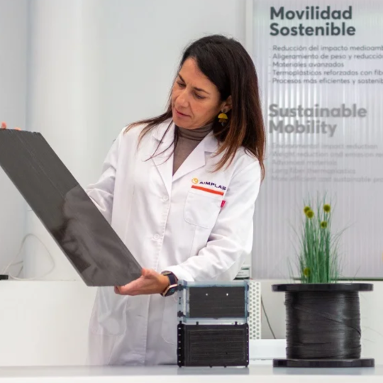 Representative picture of the project